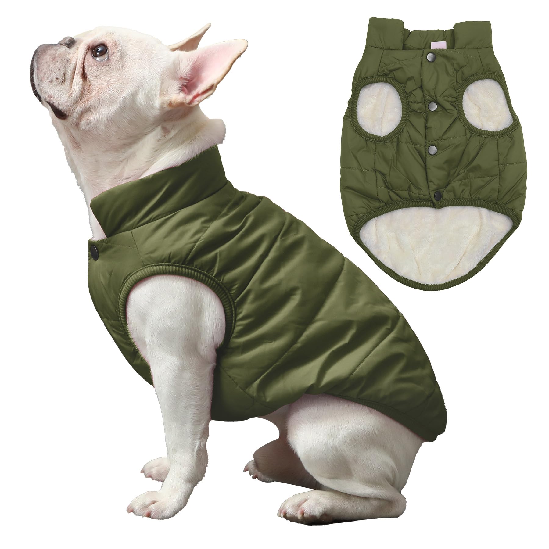 JoyDaog manteau chien vert, vue dorsale montrant protection contre le vent.