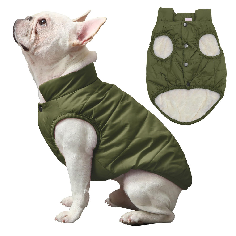 JoyDaog manteau chien vert, vue dorsale montrant protection contre le vent.