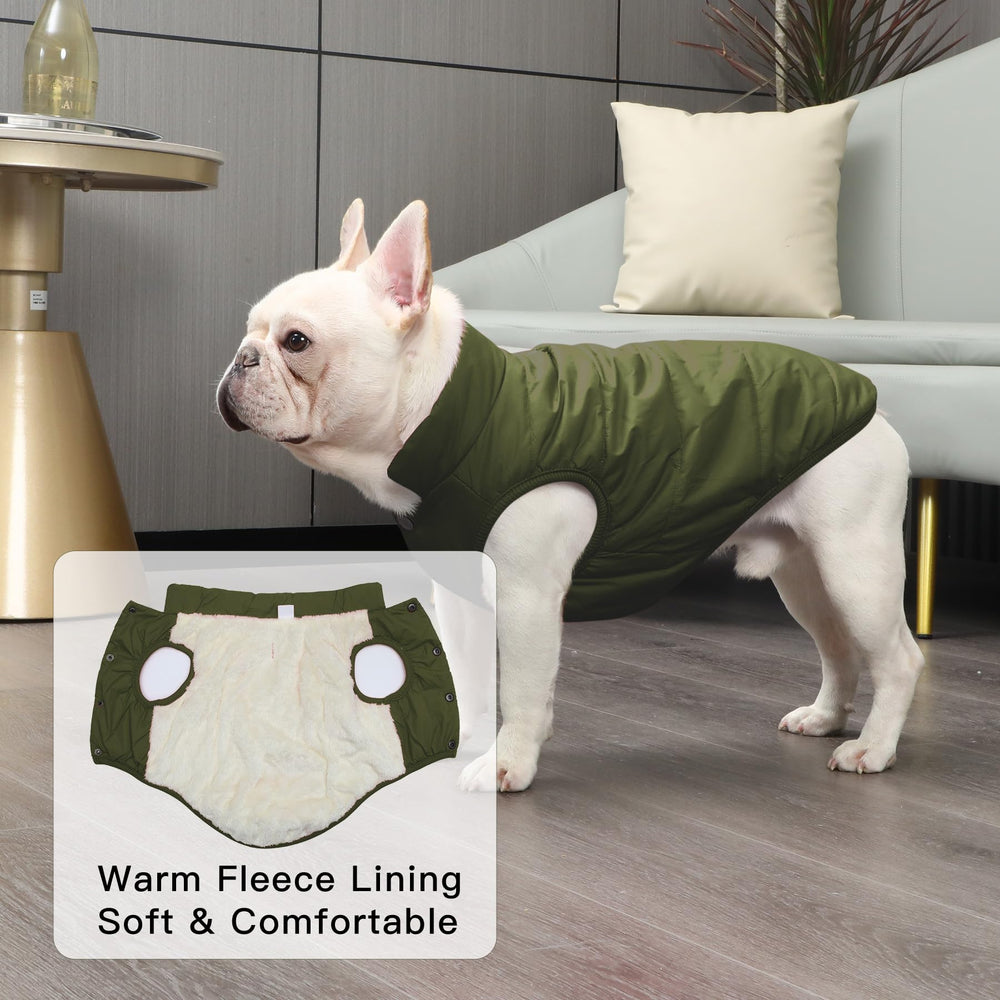 JoyDaog manteau chien vert, fermetures métalliques faciles à ouvrir et fermer.