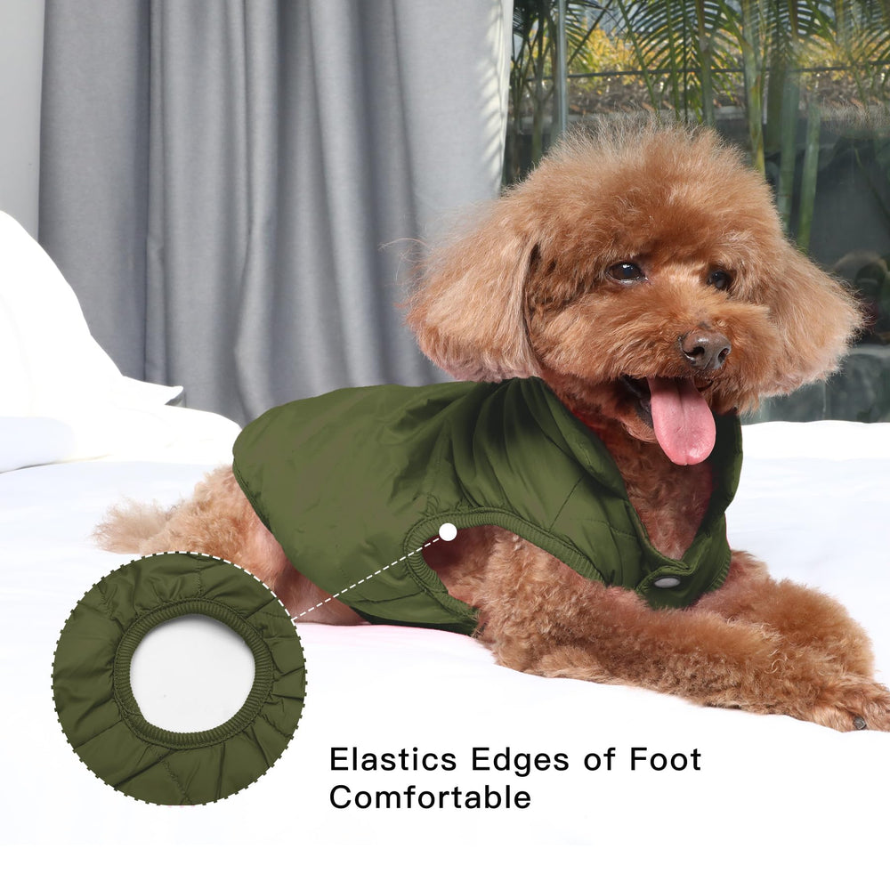 JoyDaog manteau chien vert, démonstration taille S pour petits chiens.