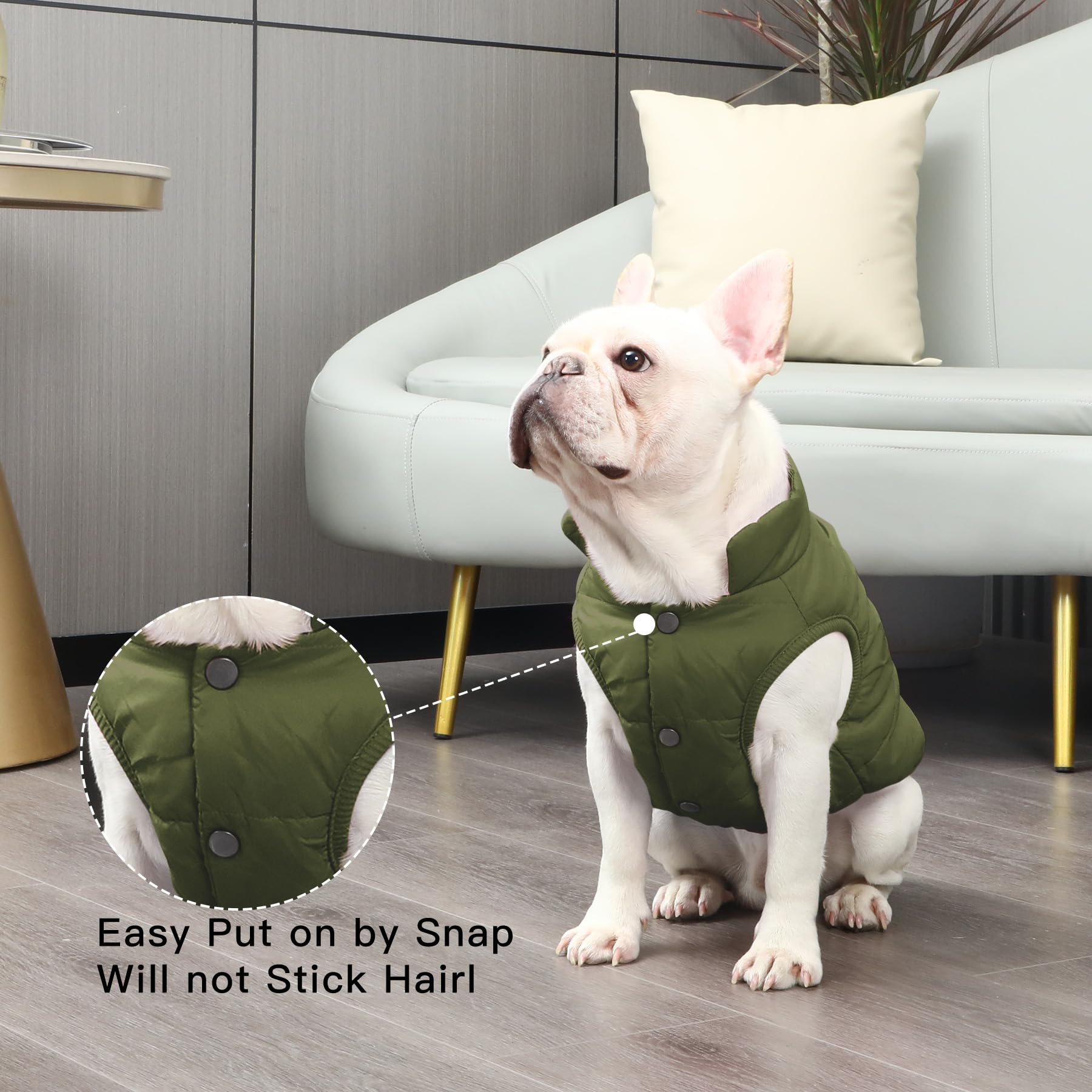 JoyDaog manteau chien vert, ouverture pour laisse pratique en promenade.