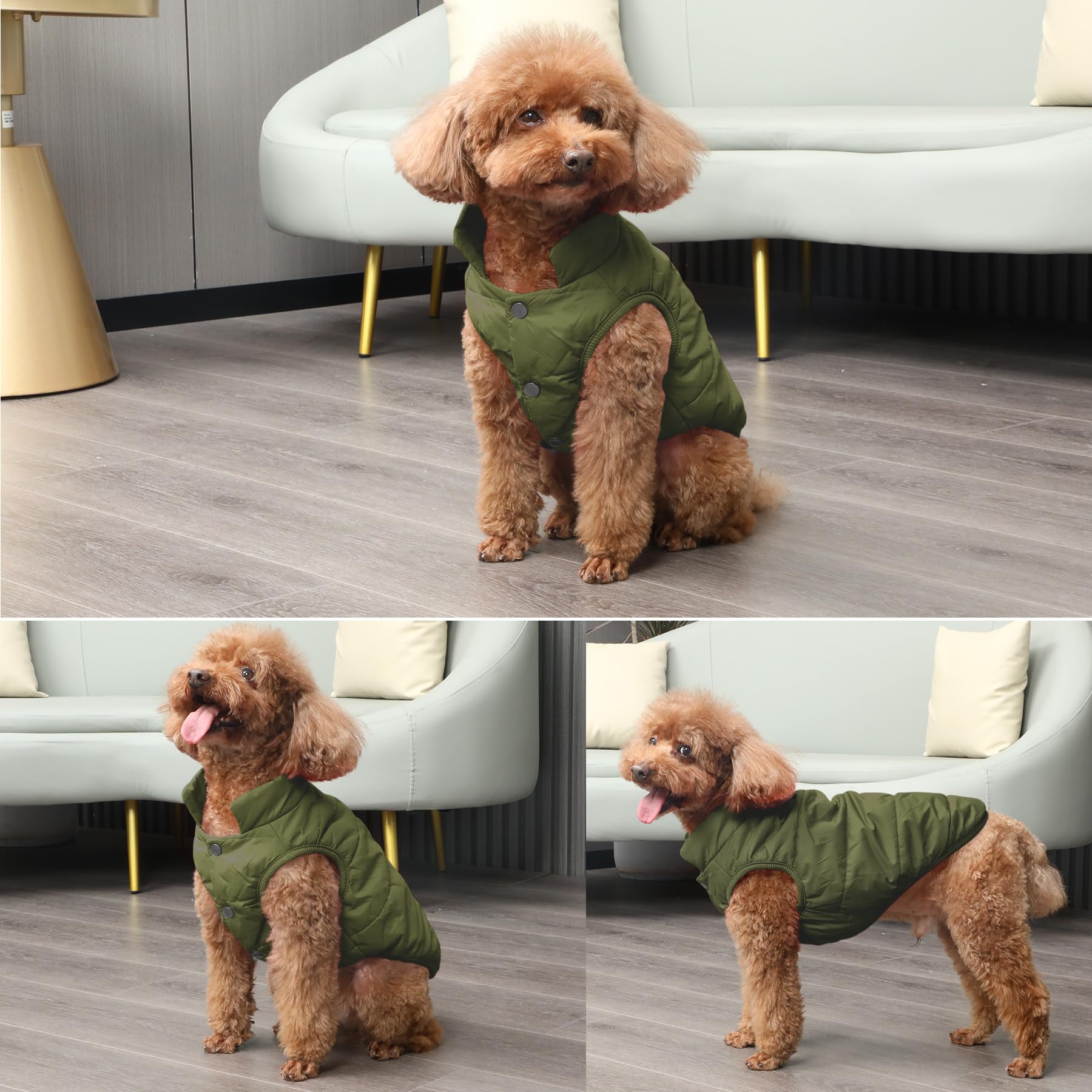 JoyDaog manteau chien vert, parfait pour sorties hivernales et temps froid.
