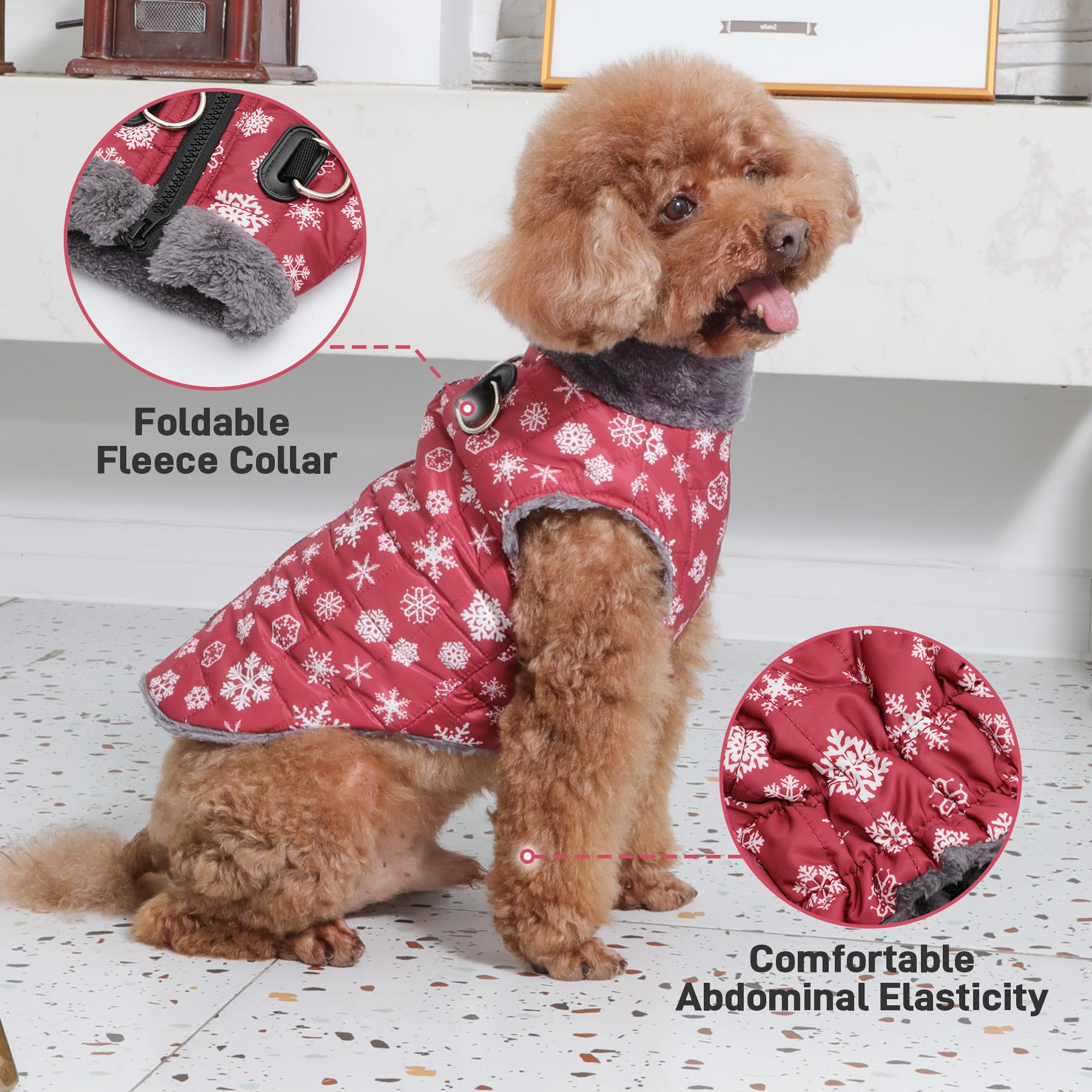 JoyDaog manteau chien léger anti-vent pour sorties fraîches.