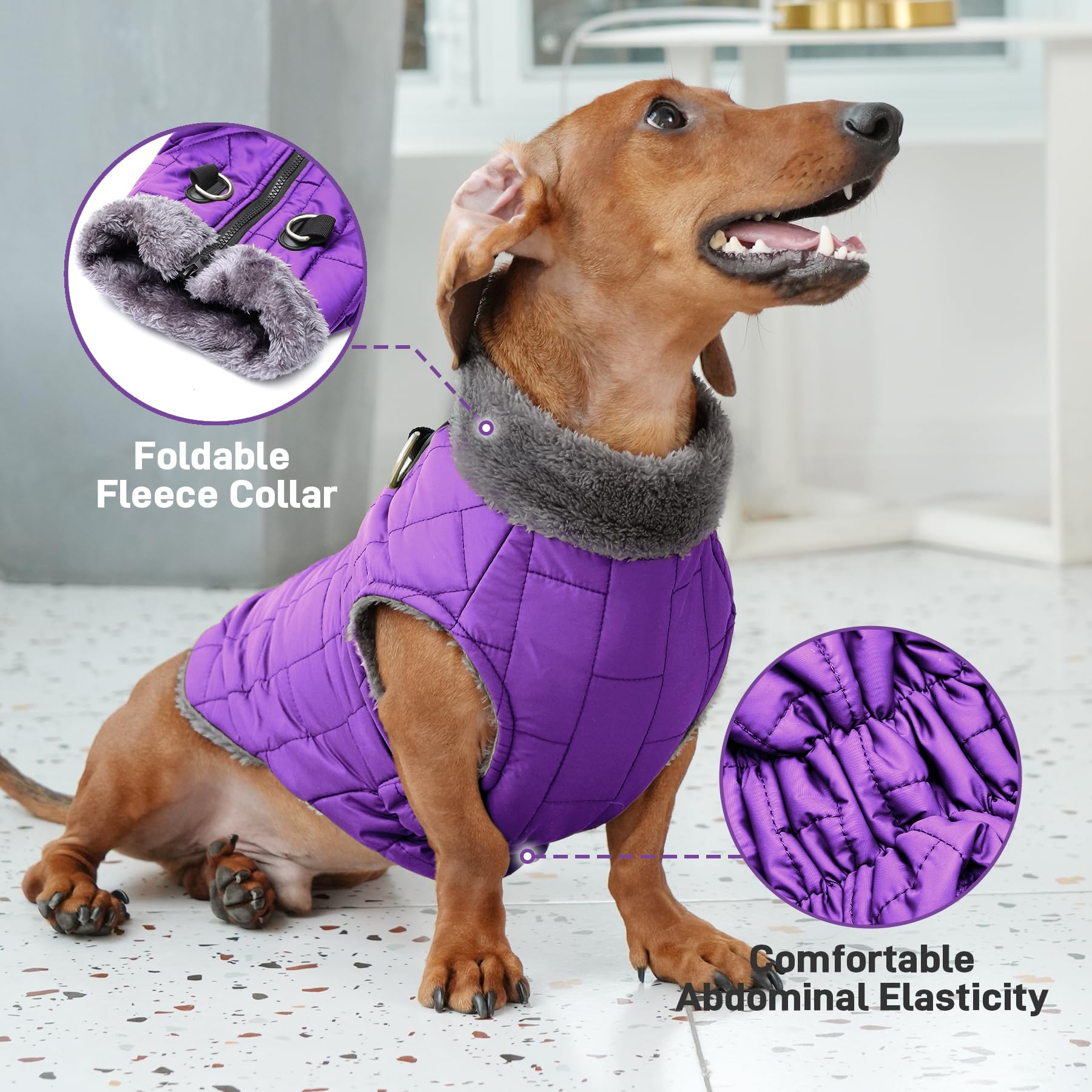JoyDaog manteau léger et coupe-vent, idéal par temps venteux