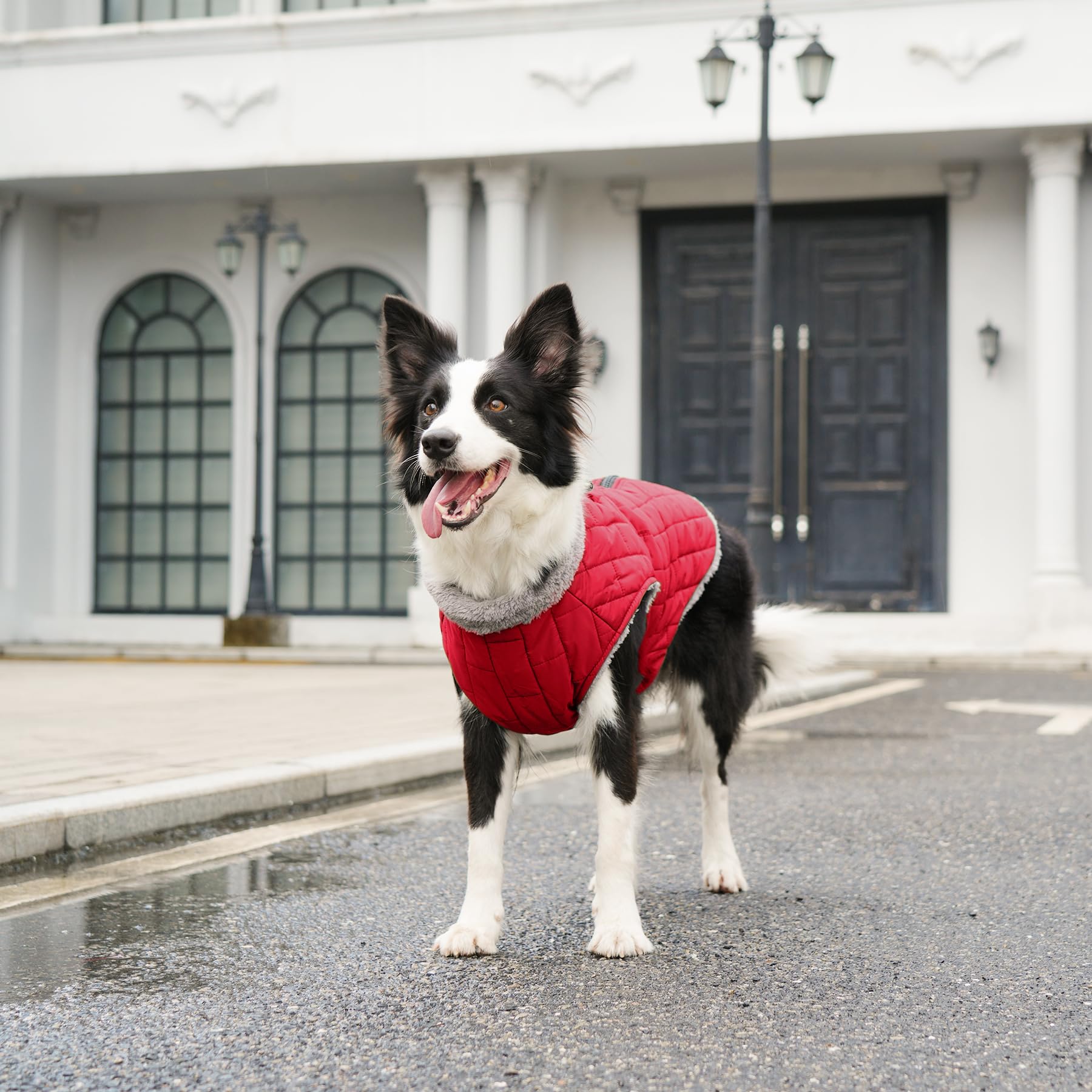 JoyDaog manteau impermeable idéal pour neige et pluie lors de balades quotidiennes.