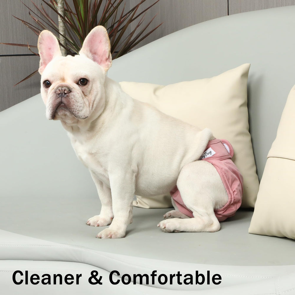 JoyDaog quatre couleurs solides pour un style discret.