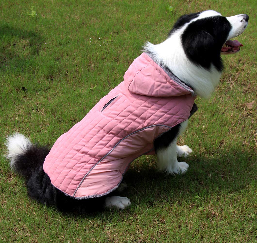 JoyDaog réglage taille élastique, confort autour du ventre.