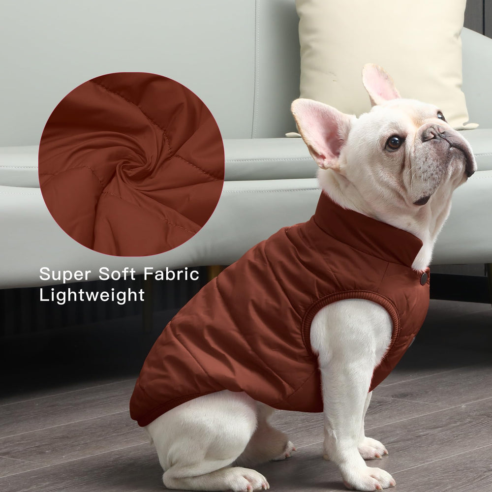JoyDaog manteau résistant au vent, idéal pour promenades quotidiennes.
