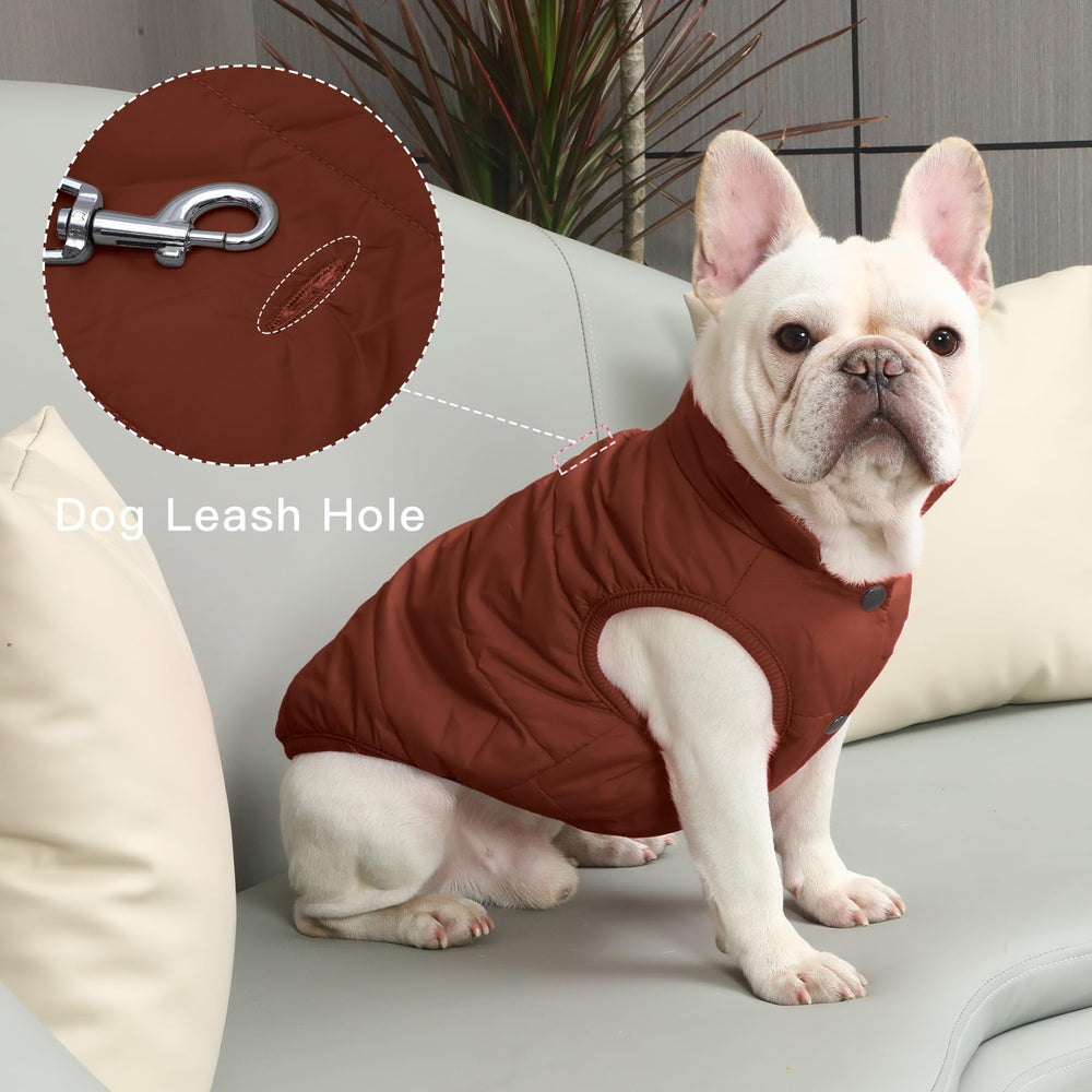 JoyDaog manteau chien, trou pour la laisse, sécurité et liberté de mouvement.