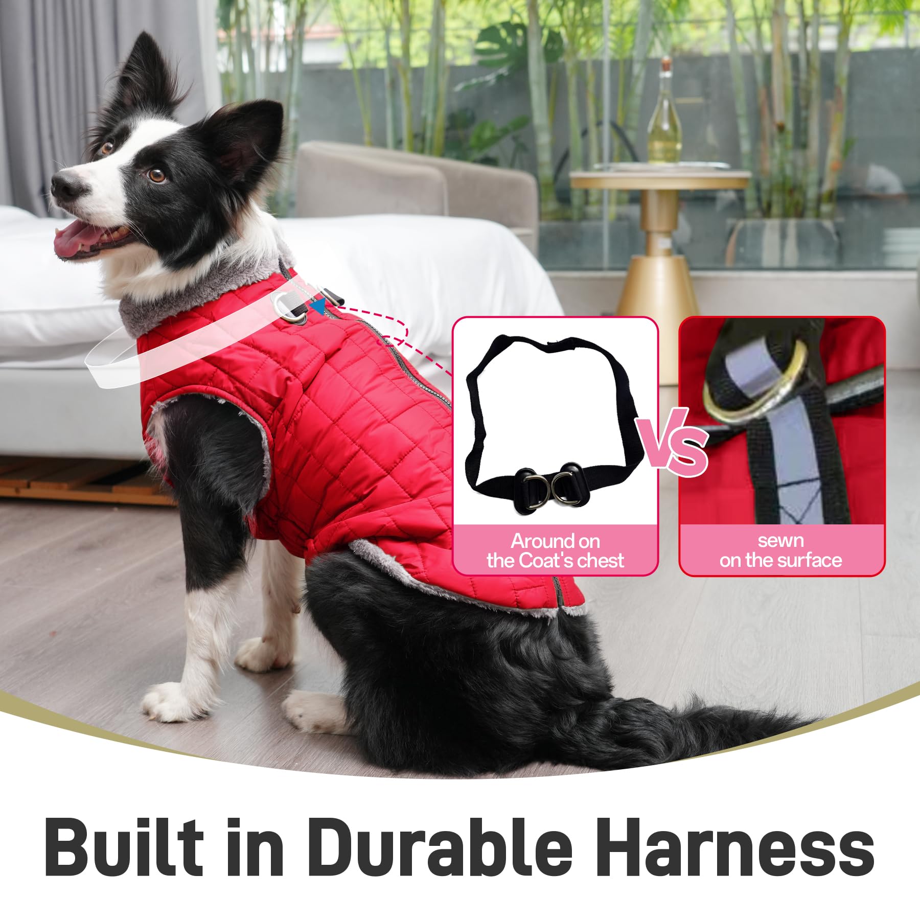 JoyDaog veste impermeable rouge XL pour chien, pratique et confortable.