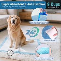Joyeux Daily Taille Extra Large XXL couvre largement les zones d'apprentissage