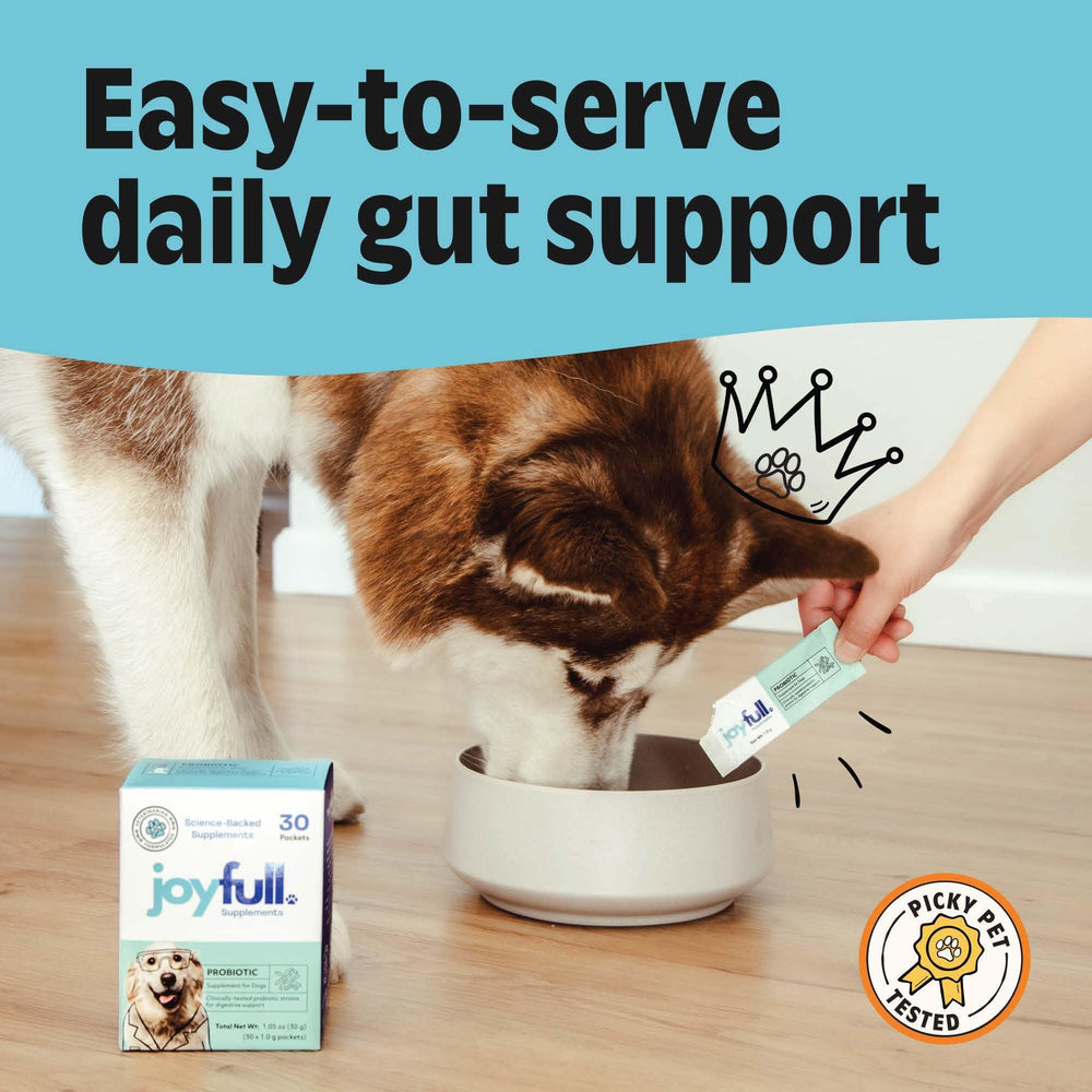 JoyFull Probiotiques chien – saveur bouillon de boeuf attirante pour les repas.
