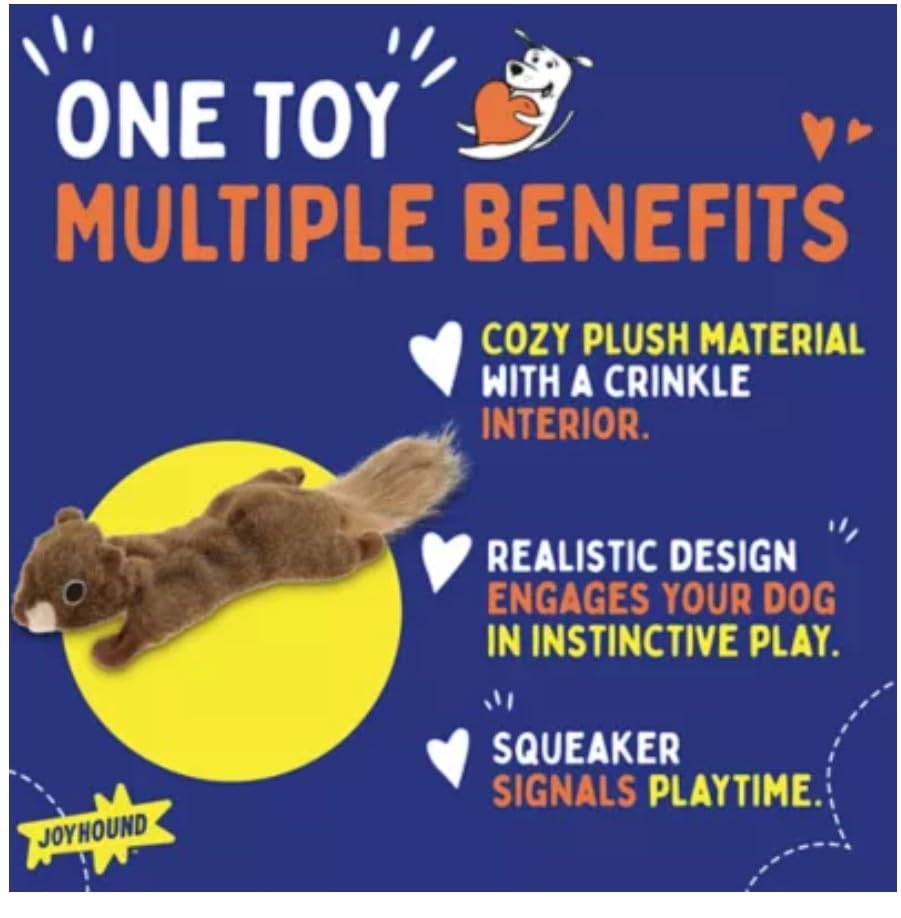 Joyhound Flattie Écureuil, compagnon apaisant pour les nuits calmes.