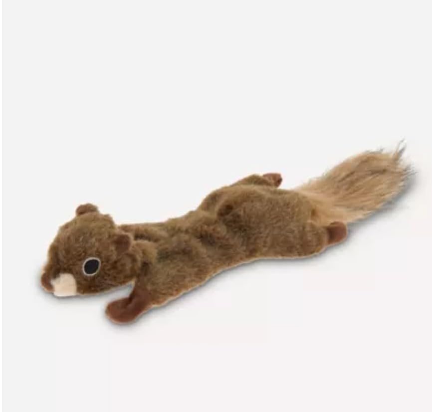 Joyhound Flattie Écureuil réaliste avec crissement pour un amusement interactif.
