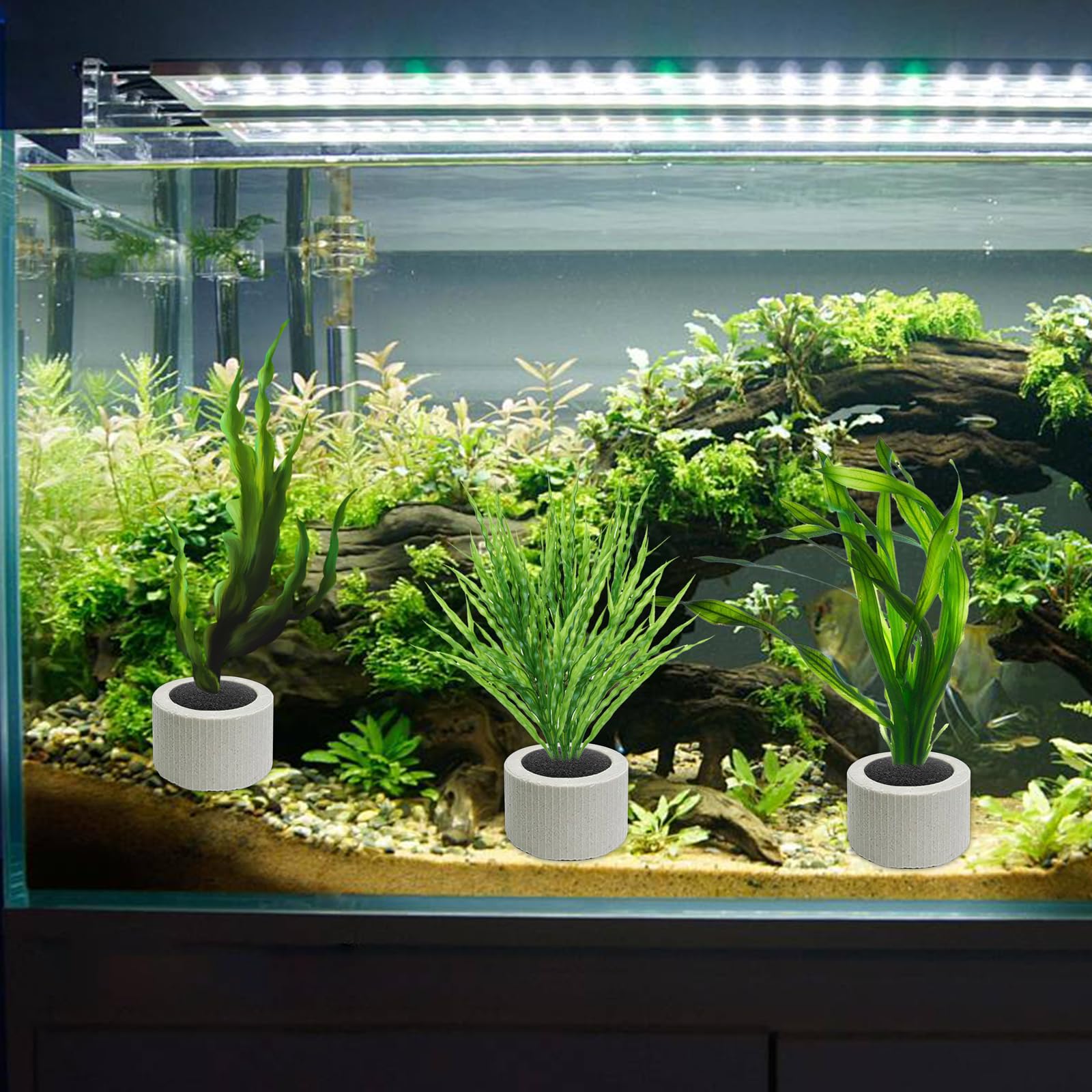 JoyHuaTrade eponge-noire-et-anneau: solution anti-flottement pratique pour aquarium