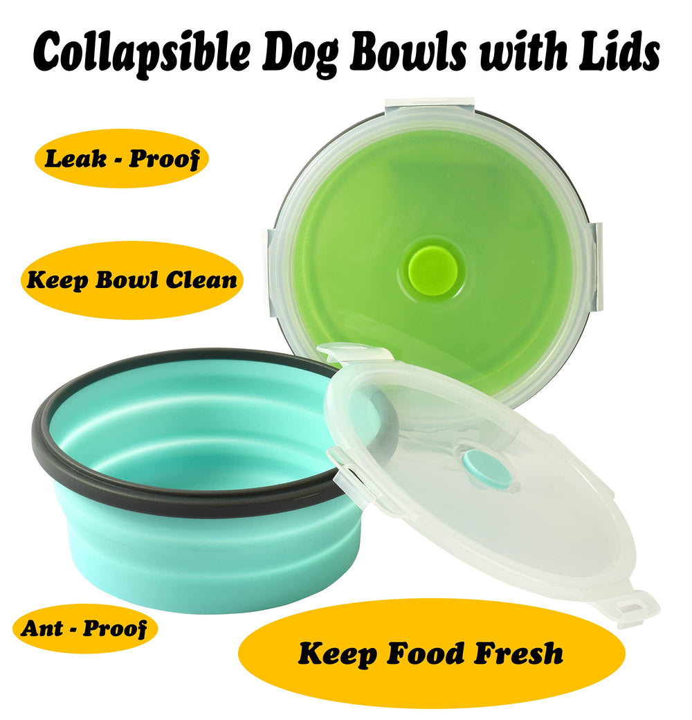 Ensemble Joyinjojo de bols pour chien, durable et léger