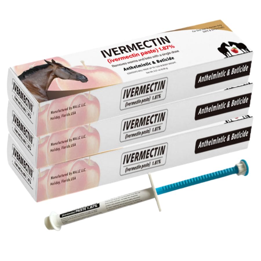 Joymeey paste cheval pomme tube 6,08 g pack 3 usage écurie et balade