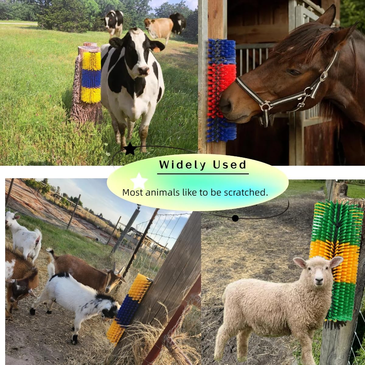 Joynny brosse-grattage cheval: massage léger et toilettage rapide en extérieur.