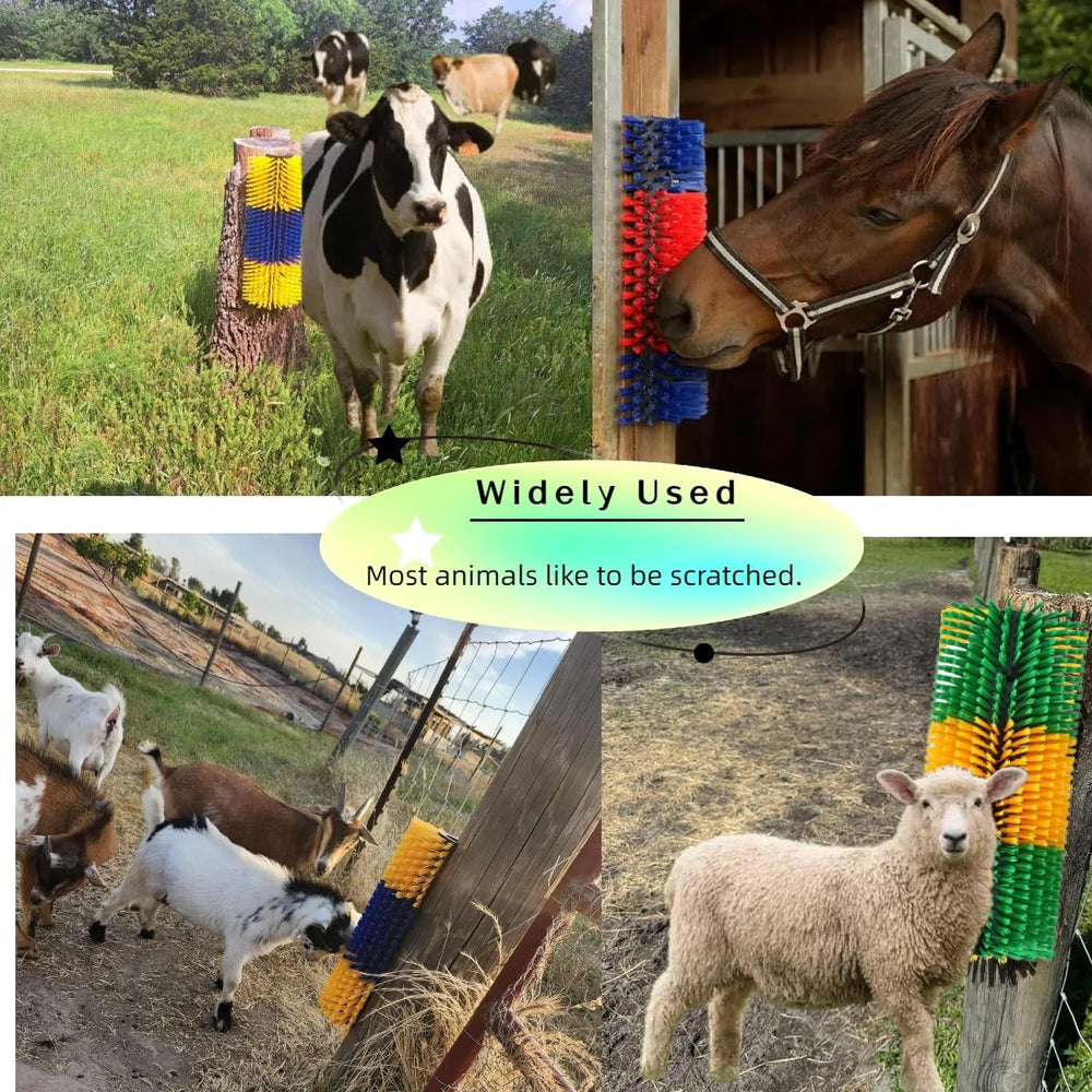 Joynny brosse-grattage cheval: massage léger et toilettage rapide en extérieur.