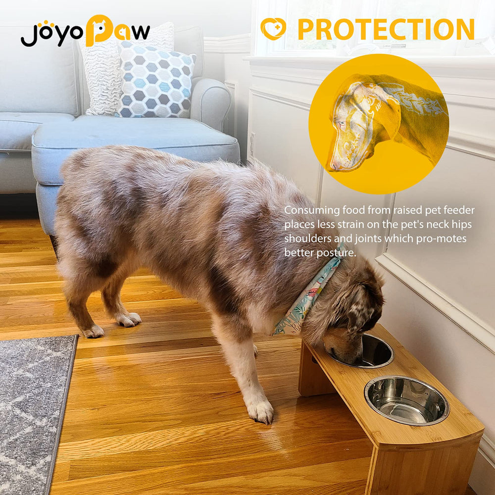 Accès facilité à la nourriture et à l'eau pour chien moyen