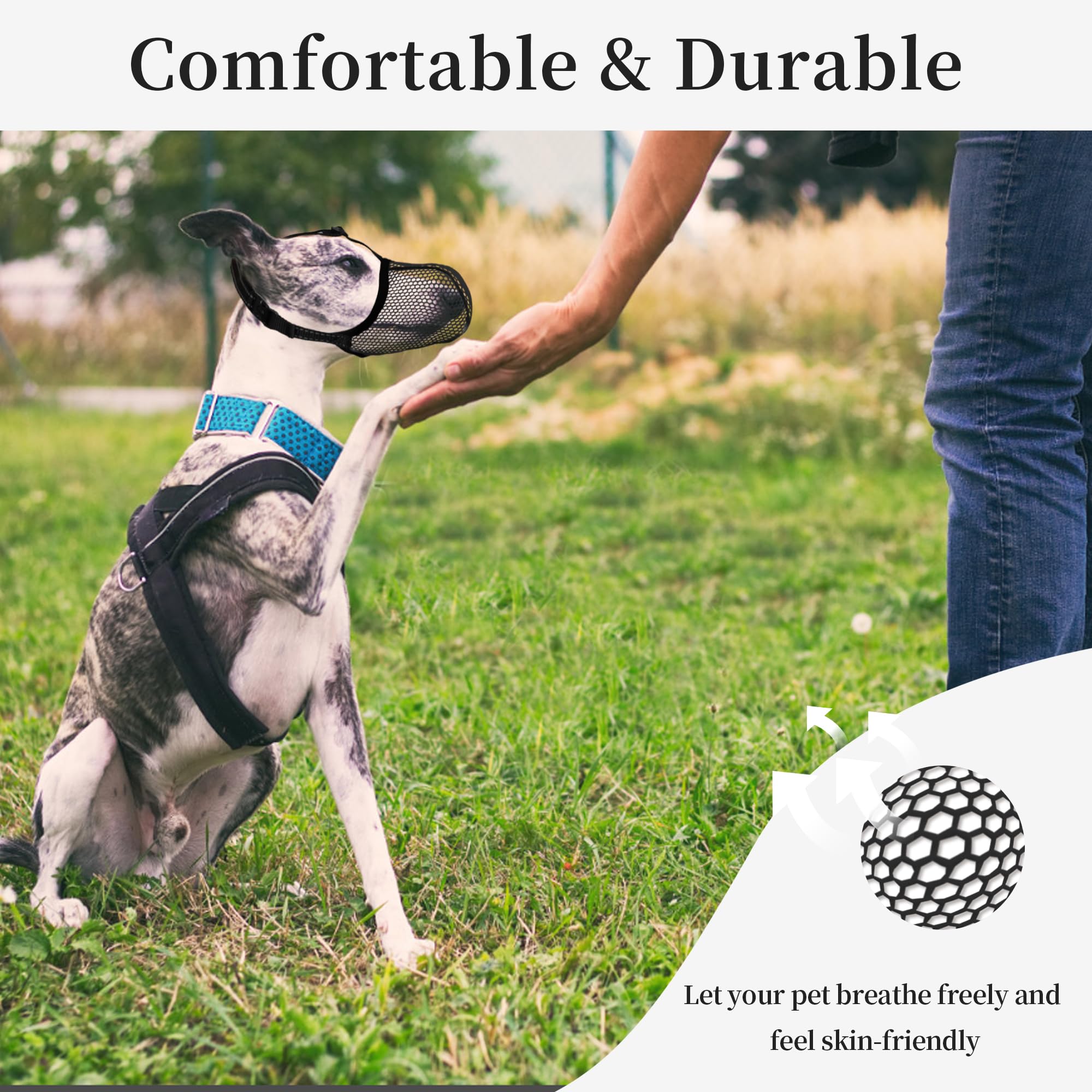 JOYPAWS museau petit chien design confortable pour usage quotidien.