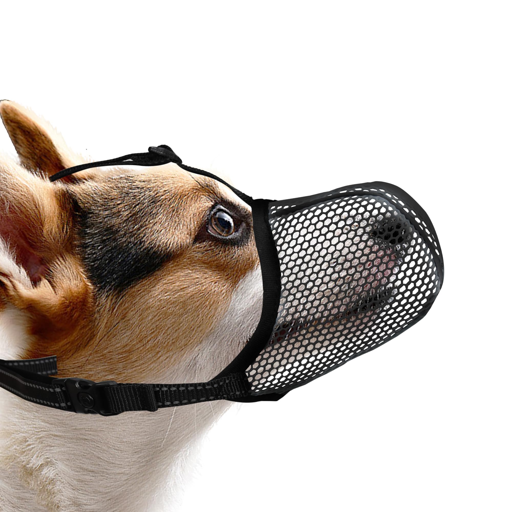JOYPAWS museau petit chien avec mesh respirable offrant meilleure aération.