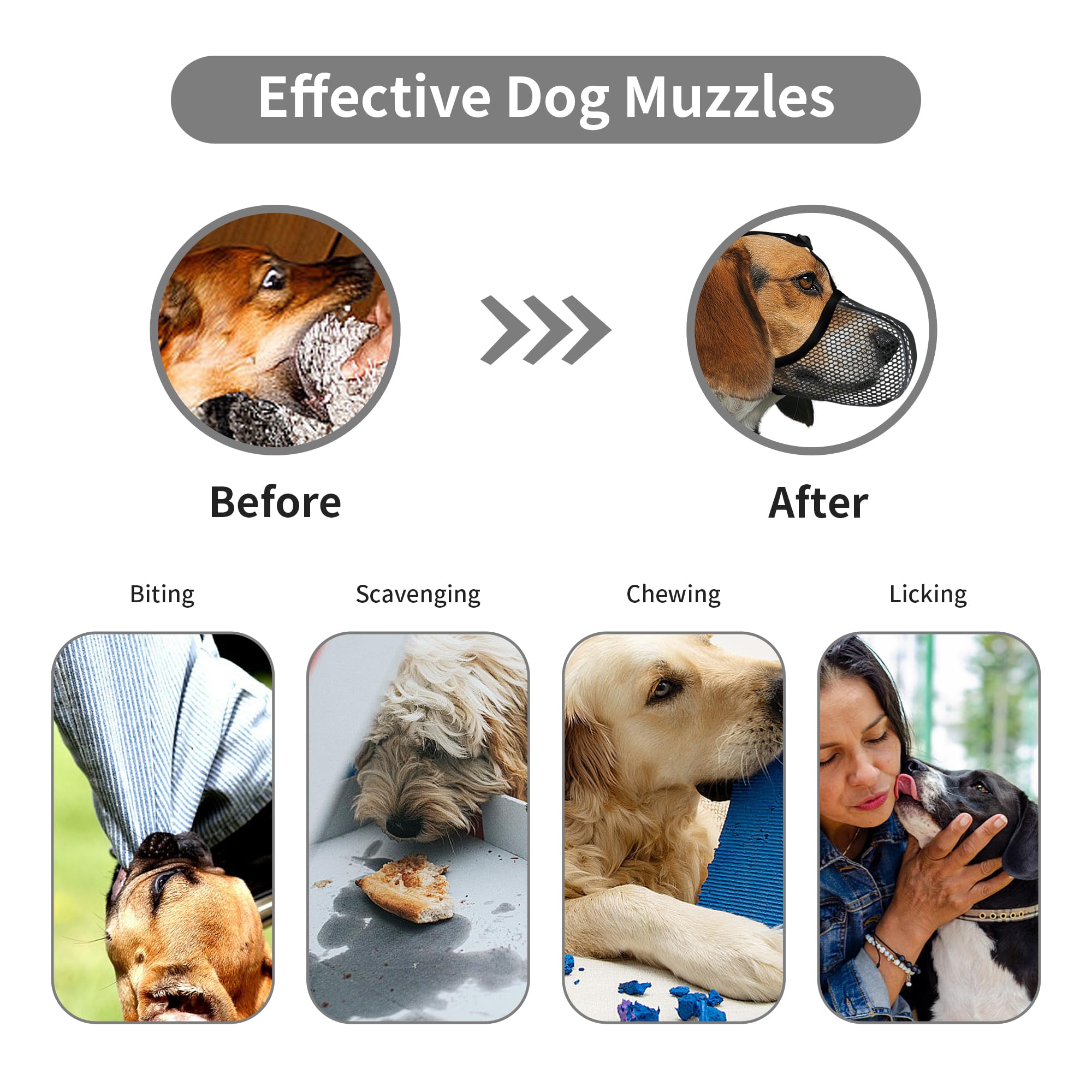 JOYPAWS museau petit chien en utilisation quotidienne lors des promenades.