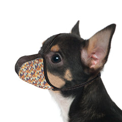 JOYPAWS muselière pour chien XS vue frontale, sécurité et confort lors des promenades.