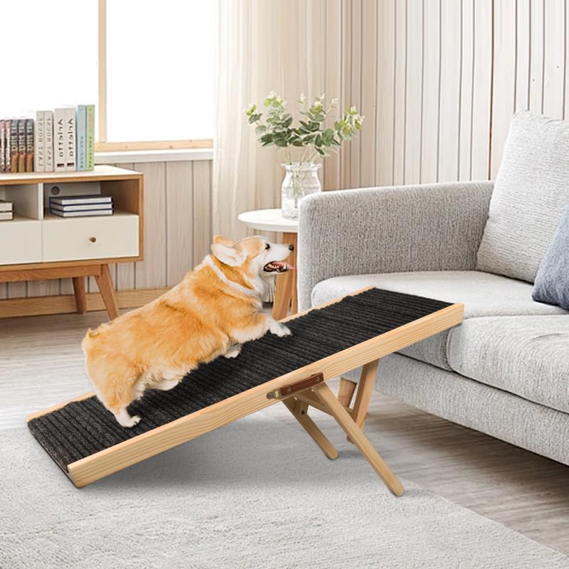 Rampe JoyPetCabin portable légère avec poignée