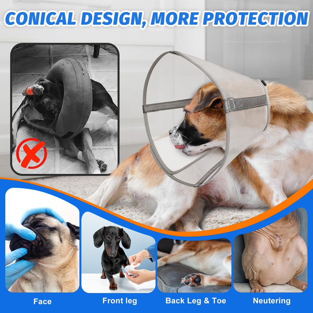 Joypig collier-cone léger et confortable pour un port quotidien doux