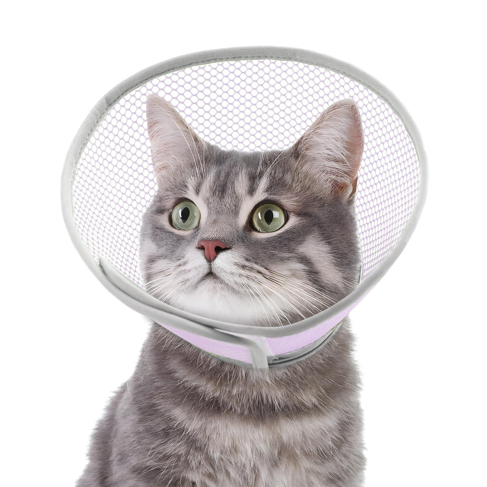 Joypig collier conique chat etanche leger—préserve les plaies pendant la récupération.