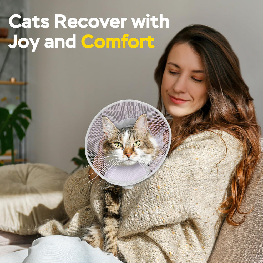 Joypig collier conique chat nettoyage rapide—surface lisse et facile à essuyer.