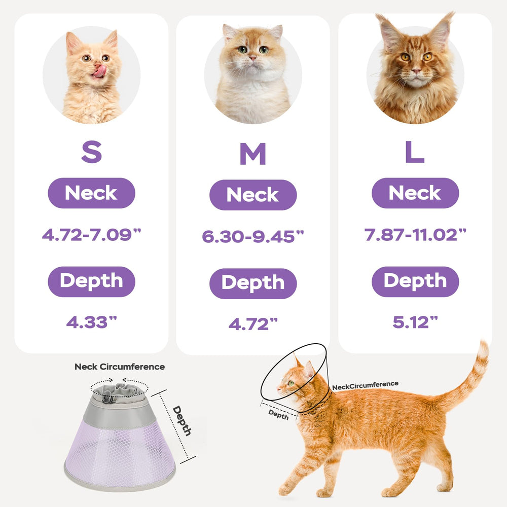 Joypig collier conique chat sécurité et confort—idéal lors des bains et toilettage.