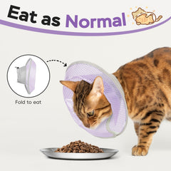 Joypig collier conique chat taille grand—sécurité et confort pour les chats actifs.