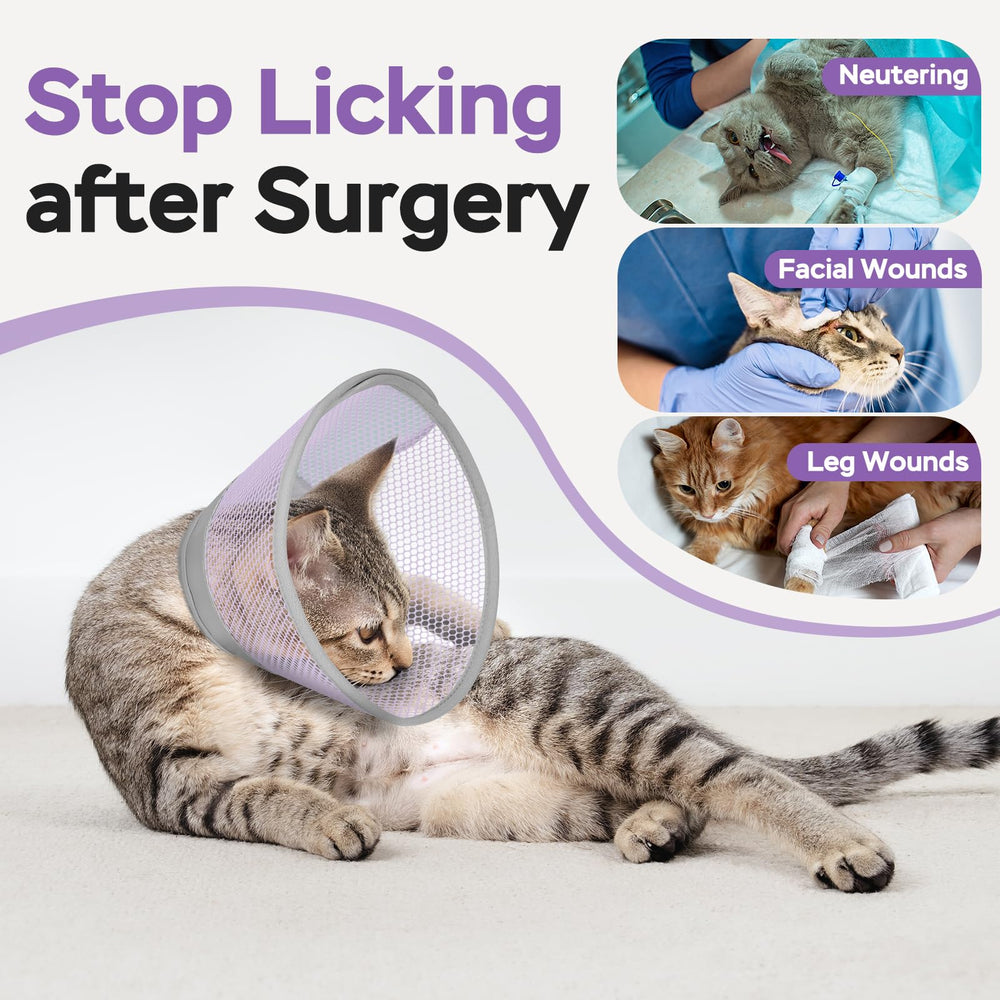 Joypig collier conique chat taille petit—idéal pour chatons et récupération en douceur.