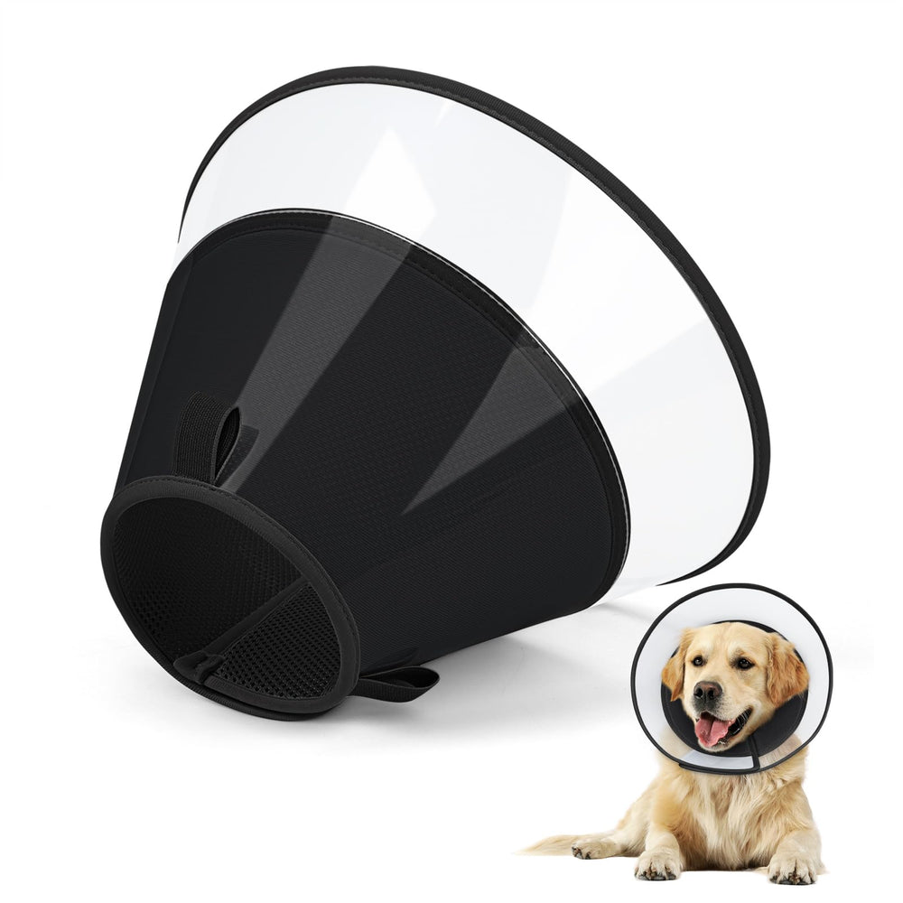 Joypig collier conique doux, plan rapproché montrant l’empêchement du léchage.