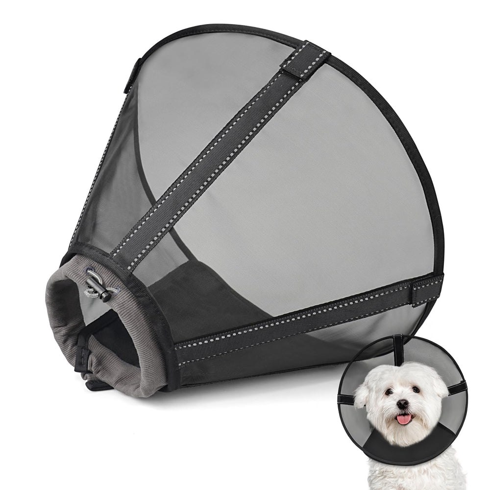 Joypig collier conique en maille pour chien, vue frontale, protection efficace.