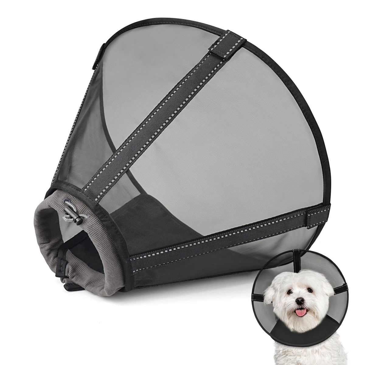 Joypig collier conique en maille pour chien, vue frontale, protection efficace.