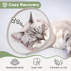 Joypig cone chat durable, alternative au collier plastique Elizabeth.