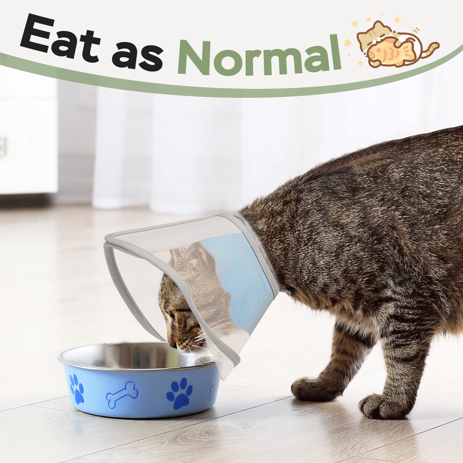 Joypig cone-chat-apres-chirurgie: idéal pour limiter léchage et griffage.