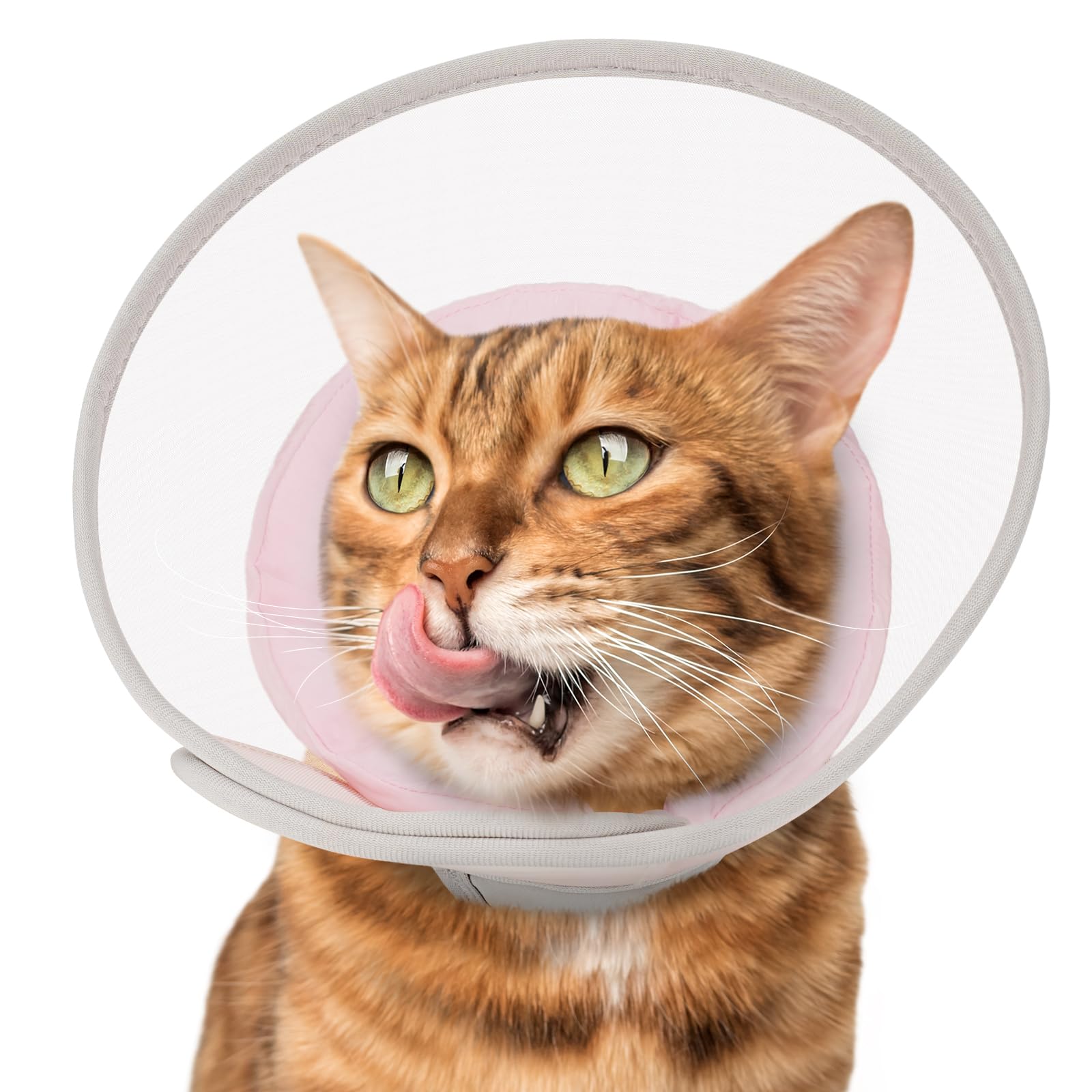 Joypig cone chat doux en maille rose, prévention du léchage après chirurgie.