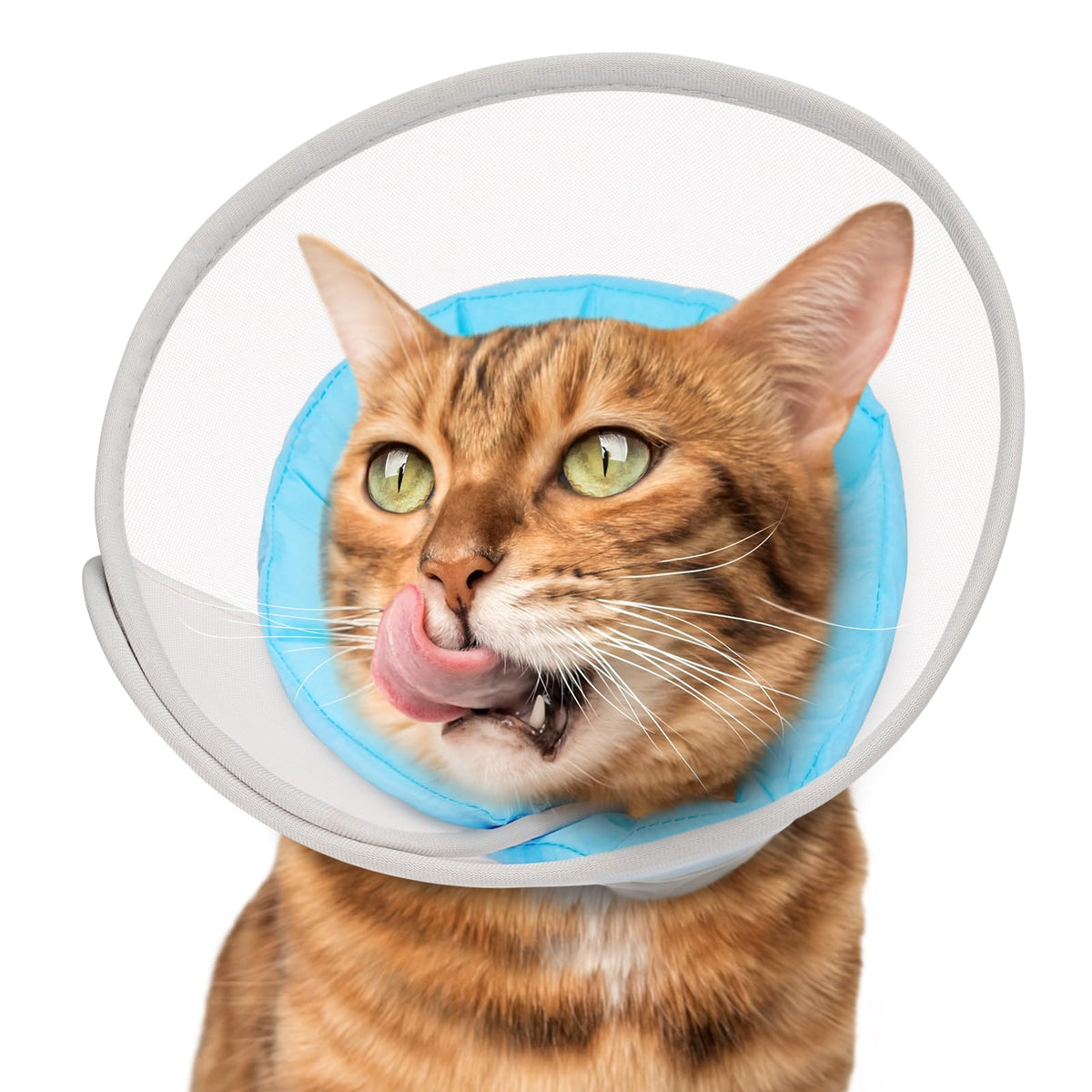 Joypig cone chat maillage doux impermeable, confort et recuperation sans stress.
