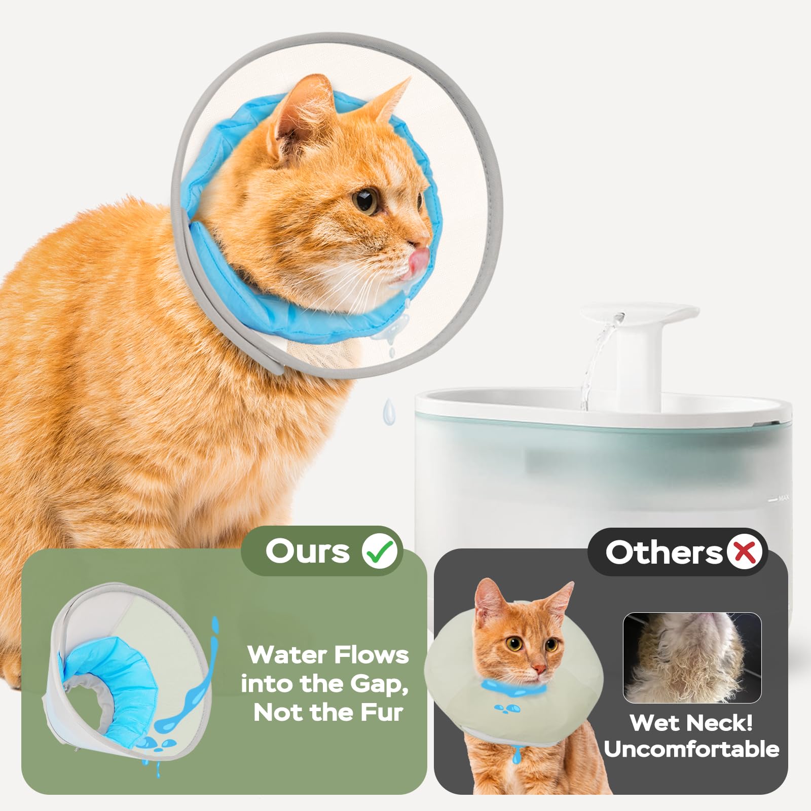 Joypig cone chat recuperation maillage impermeable, permet manger et boire normalement.