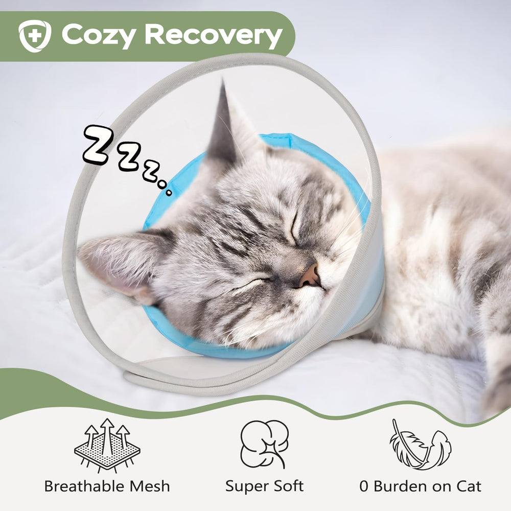 Joypig Cone Soft – adaptation douce lors des premiers essais avec le chat.