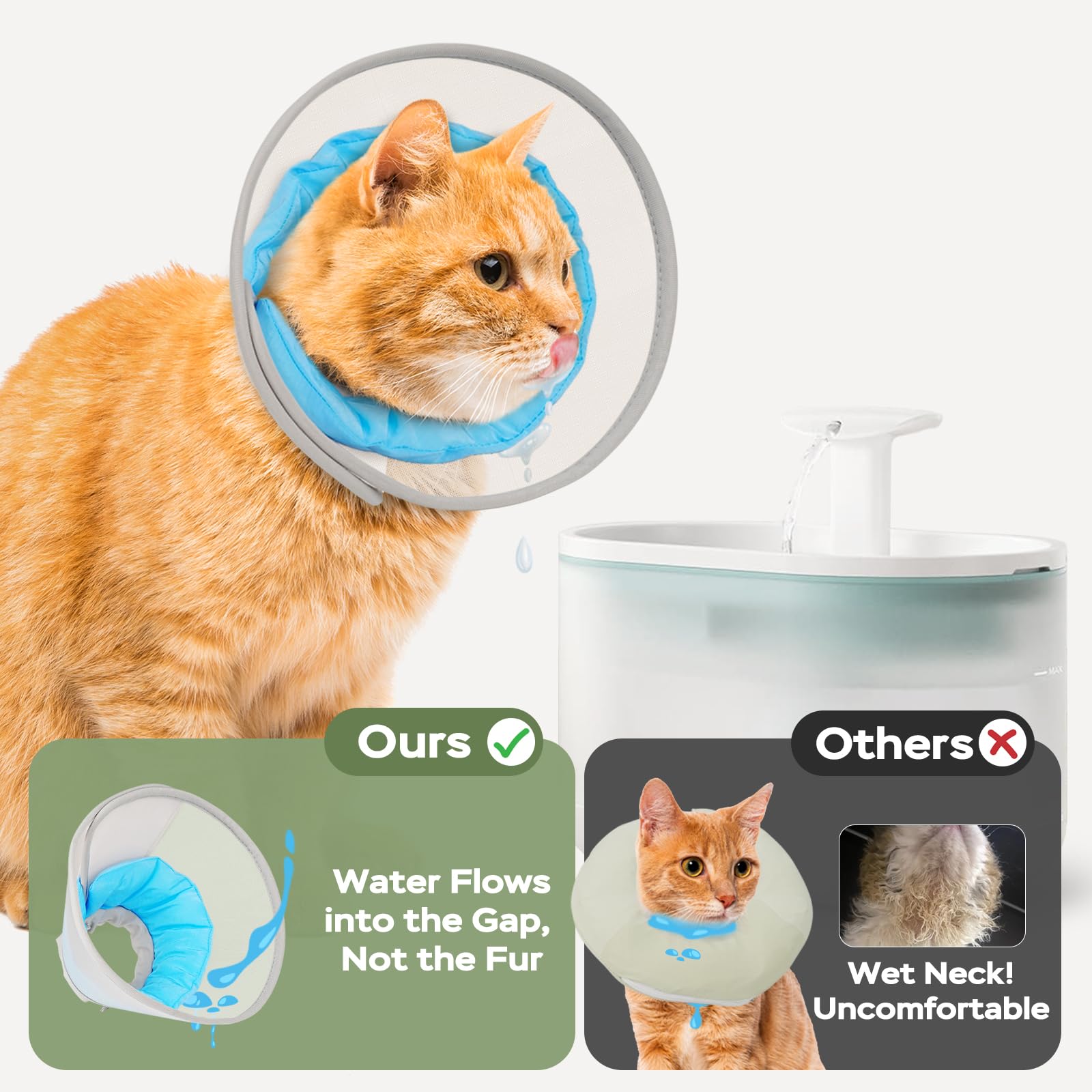 Joypig Cone Soft – le chat peut manger et boire sans encombre avec ce cone.