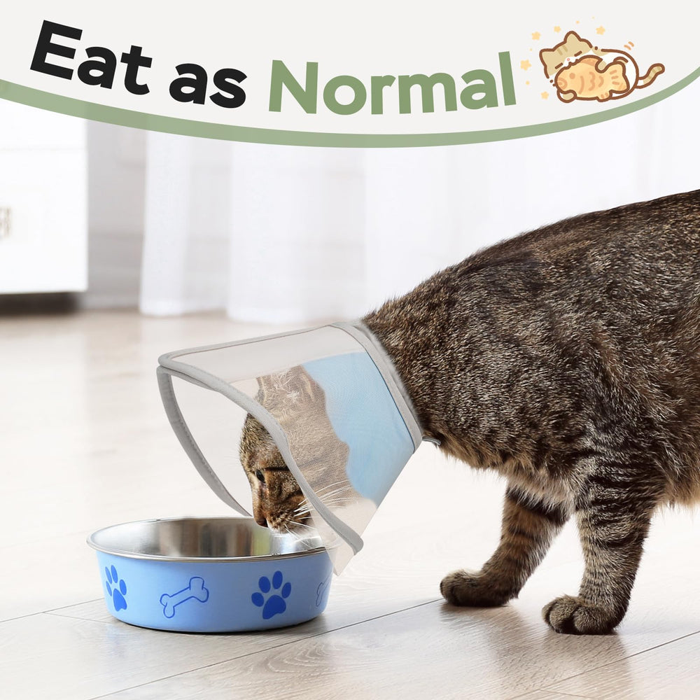 Joypig Cone Soft – collier léger et confortable autour du cou du chat.