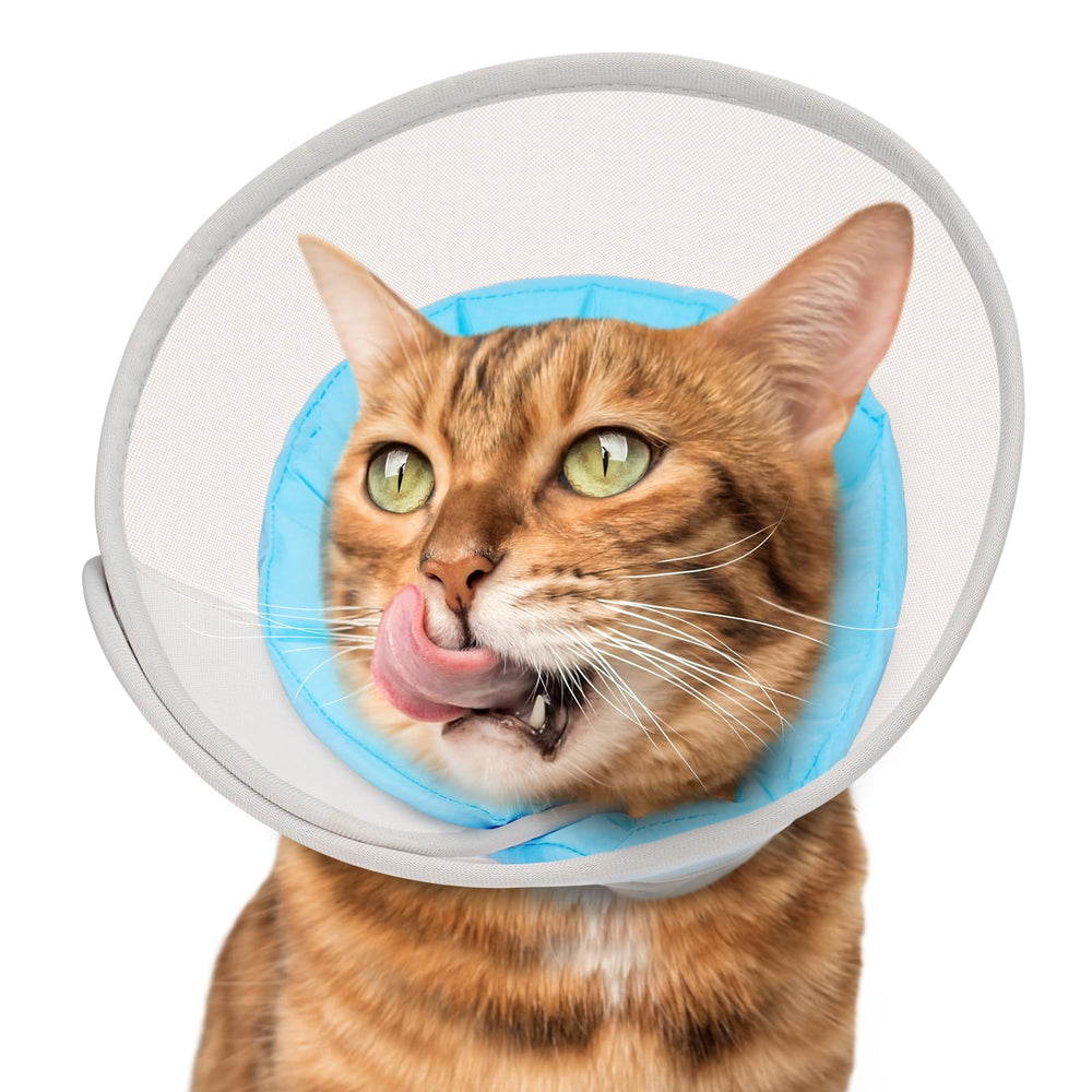 Joypig cone-chat-soft-etanche: confort et protection après chirurgie.