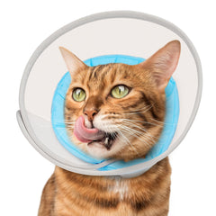 Joypig cone-chat-soft-etanche: confort et protection après chirurgie.