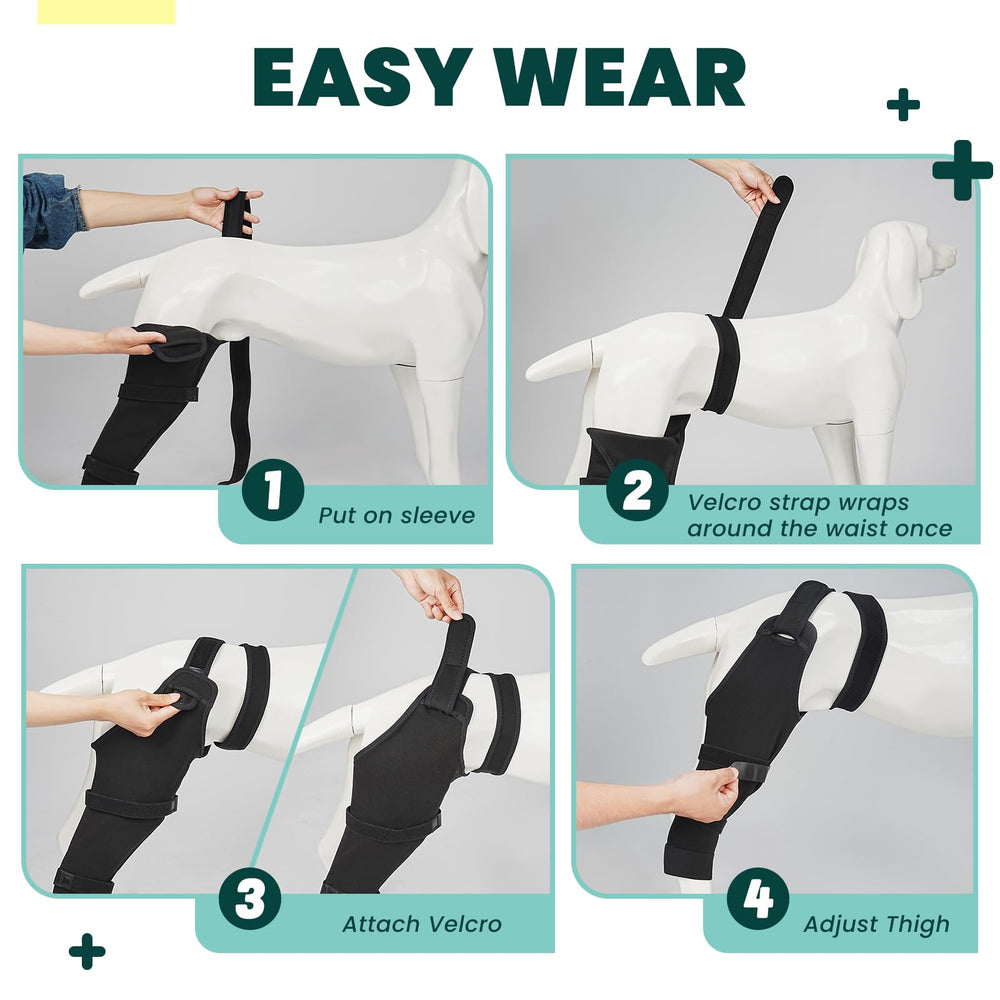 Joypig confort supérieur par rapport au cône pour chien actif.
