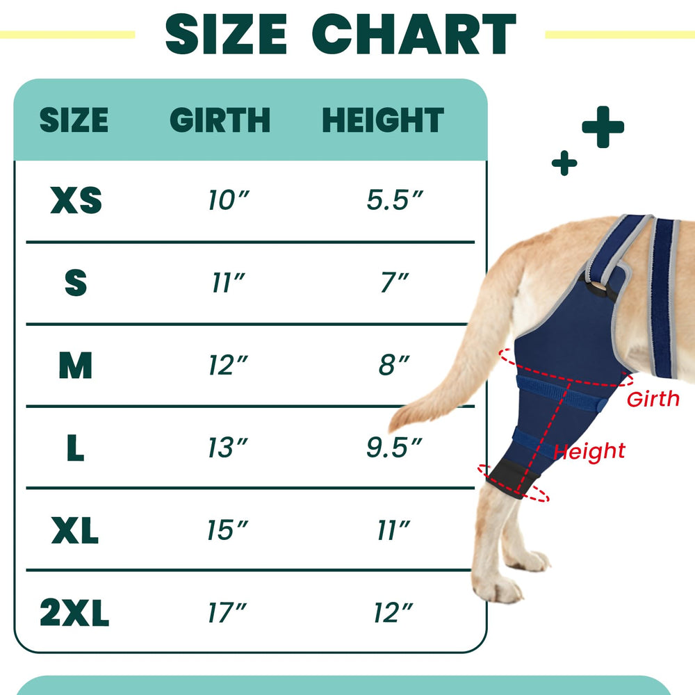 Joypig manchon patte arrière – anti-glissage reglable pour chiens actifs.